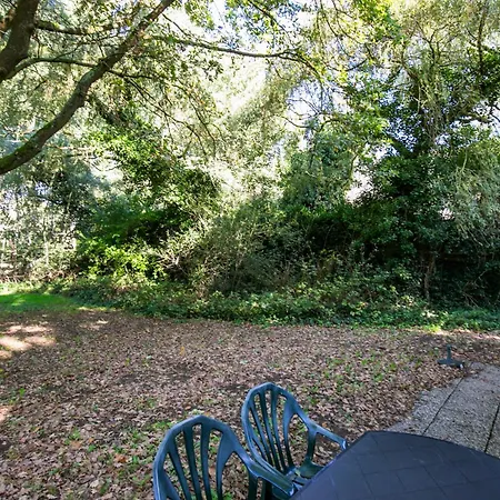 Holiday home 4 - Persoons Lakeside 63 Sauna *